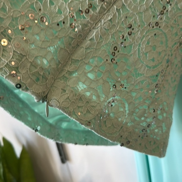 ALEX EVENINGS |  Light Green Lace Two Piece Set Dress - Picture 7 of 15